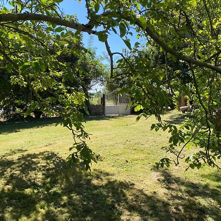 Les Anges Bleus Villa Chavannes-Sur-Reyssouze Bagian luar foto