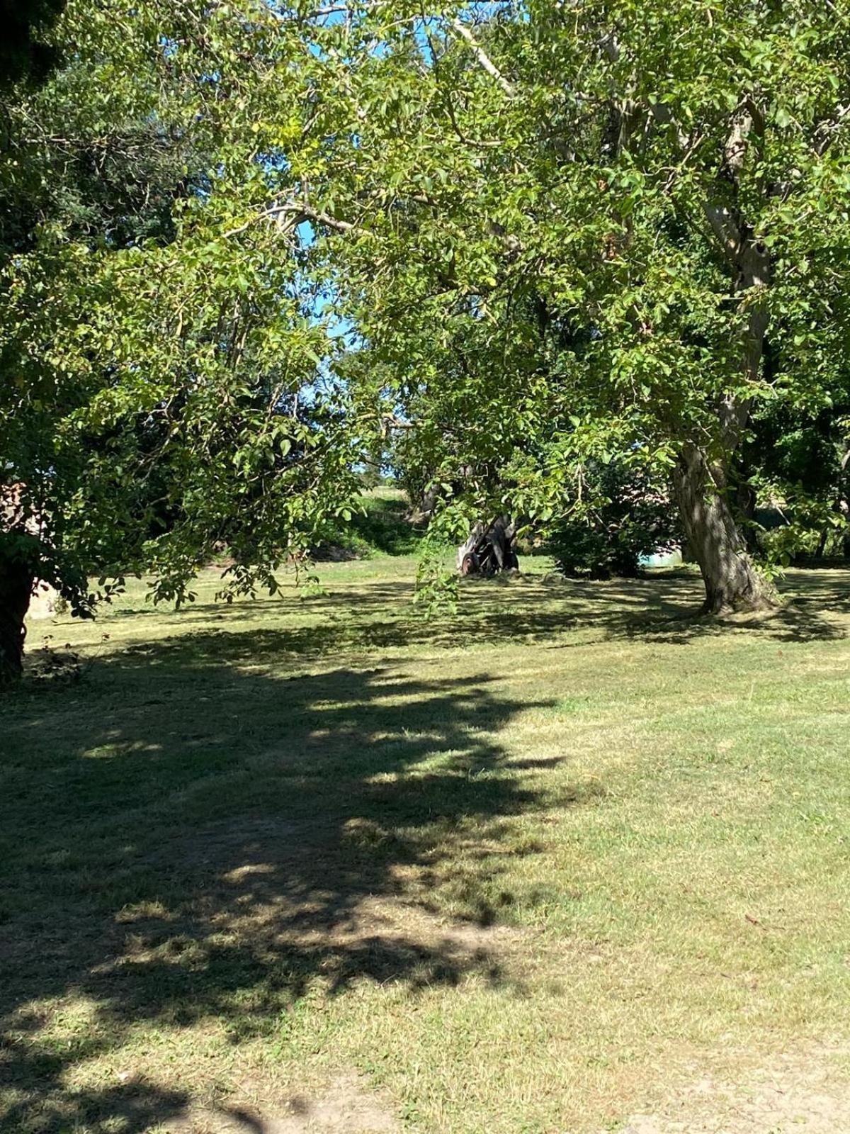 Les Anges Bleus Villa Chavannes-Sur-Reyssouze Bagian luar foto